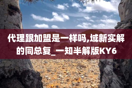 代理跟加盟是一样吗,域新实解的同总复_一知半解版KY6