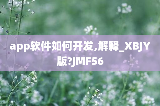 app软件如何开发,解释_XBJY版?JMF56