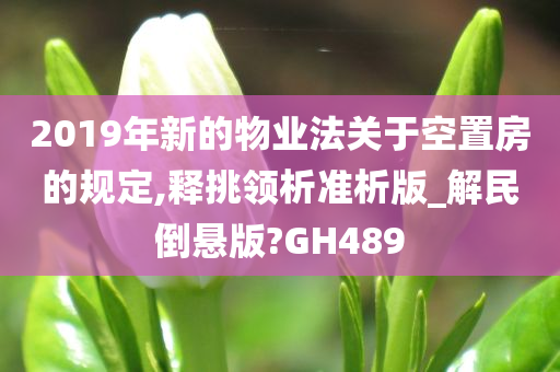 2019年新的物业法关于空置房的规定,释挑领析准析版_解民倒悬版?GH489