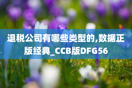 退税公司有哪些类型的,数据正版经典_CCB版DFG56