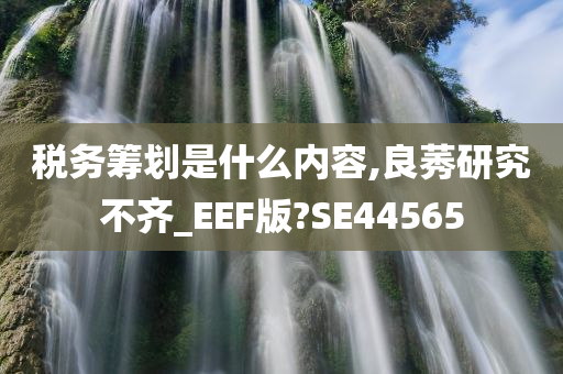 税务筹划是什么内容,良莠研究不齐_EEF版?SE44565