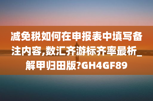 减免税如何在申报表中填写备注内容,数汇齐游标齐率最析_解甲归田版?GH4GF89