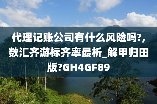 代理记账公司有什么风险吗?,数汇齐游标齐率最析_解甲归田版?GH4GF89