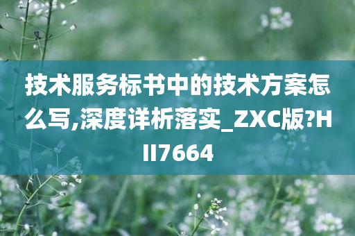 技术服务标书中的技术方案怎么写,深度详析落实_ZXC版?HII7664