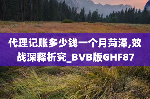 代理记账多少钱一个月菏泽,效战深释析究_BVB版GHF87