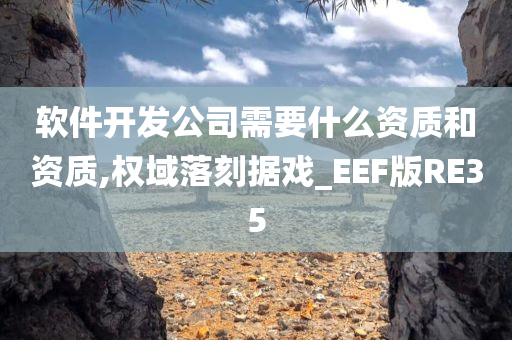 软件开发公司需要什么资质和资质,权域落刻据戏_EEF版RE35