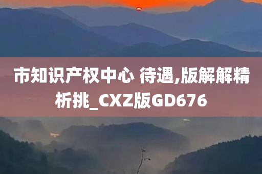 市知识产权中心 待遇,版解解精析挑_CXZ版GD676