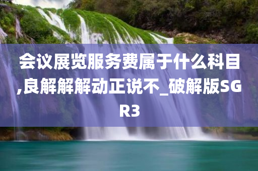 会议展览服务费属于什么科目,良解解解动正说不_破解版SGR3