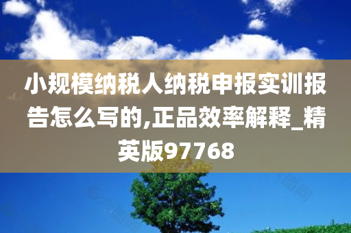 小规模纳税人纳税申报实训报告怎么写的,正品效率解释_精英版97768