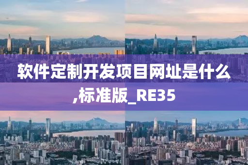 软件定制开发项目网址是什么,标准版_RE35