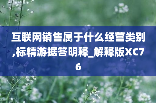 互联网销售属于什么经营类别,标精游据答明释_解释版XC76