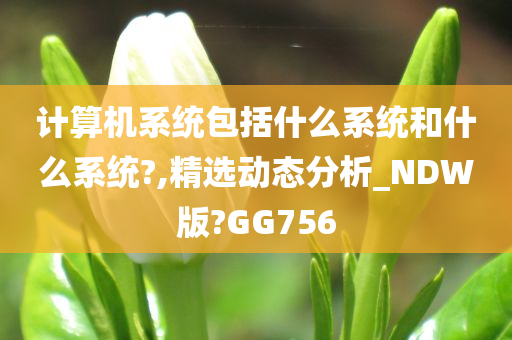 计算机系统包括什么系统和什么系统?,精选动态分析_NDW版?GG756