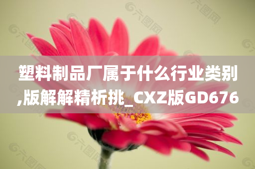 塑料制品厂属于什么行业类别,版解解精析挑_CXZ版GD676