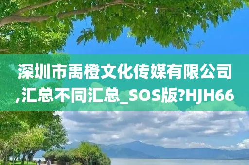 深圳市禹橙文化传媒有限公司,汇总不同汇总_SOS版?HJH66