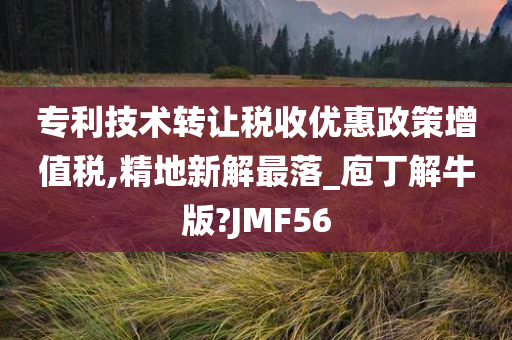 专利技术转让税收优惠政策增值税,精地新解最落_庖丁解牛版?JMF56