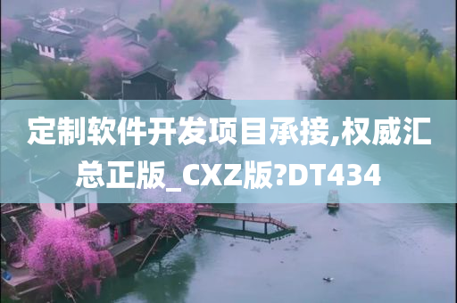 定制软件开发项目承接,权威汇总正版_CXZ版?DT434