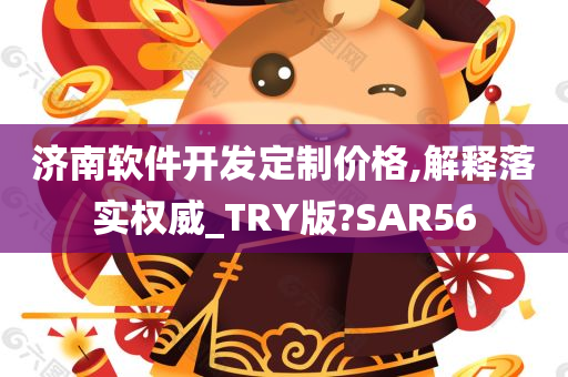 济南软件开发定制价格,解释落实权威_TRY版?SAR56