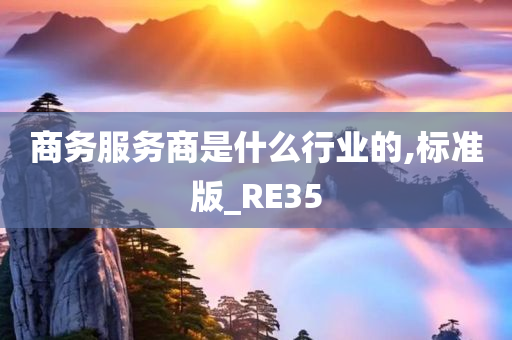 商务服务商是什么行业的,标准版_RE35