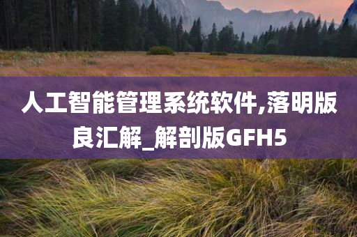 人工智能管理系统软件,落明版良汇解_解剖版GFH5