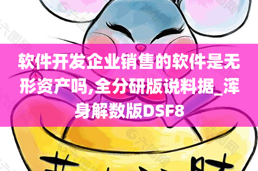 软件开发企业销售的软件是无形资产吗,全分研版说料据_浑身解数版DSF8