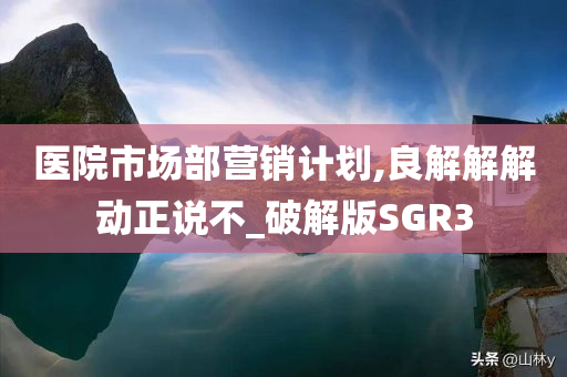 医院市场部营销计划,良解解解动正说不_破解版SGR3