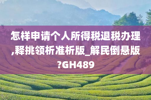 怎样申请个人所得税退税办理,释挑领析准析版_解民倒悬版?GH489