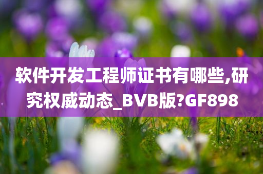 软件开发工程师证书有哪些,研究权威动态_BVB版?GF898