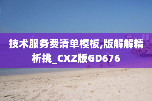 技术服务费清单模板,版解解精析挑_CXZ版GD676