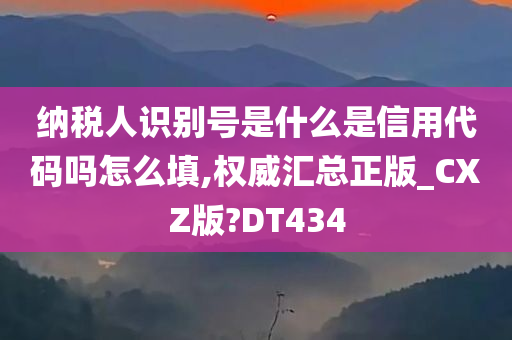 纳税人识别号是什么是信用代码吗怎么填,权威汇总正版_CXZ版?DT434