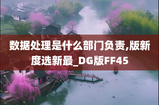 数据处理是什么部门负责,版新度选新最_DG版FF45