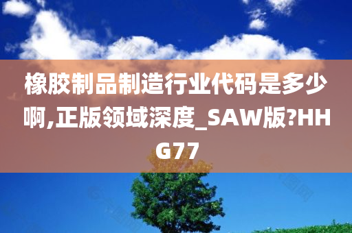 橡胶制品制造行业代码是多少啊,正版领域深度_SAW版?HHG77