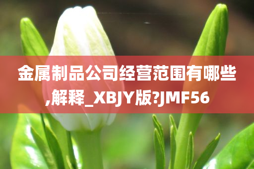 金属制品公司经营范围有哪些,解释_XBJY版?JMF56