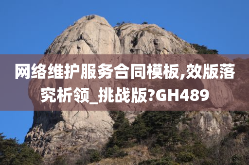 网络维护服务合同模板,效版落究析领_挑战版?GH489