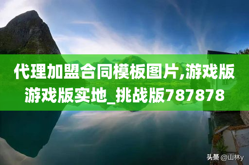 代理加盟合同模板图片,游戏版游戏版实地_挑战版787878