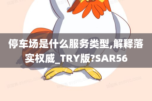 停车场是什么服务类型,解释落实权威_TRY版?SAR56