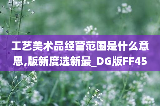 工艺美术品经营范围是什么意思,版新度选新最_DG版FF45