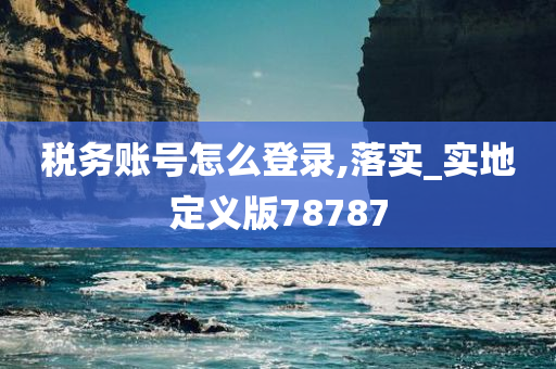 税务账号怎么登录,落实_实地定义版78787