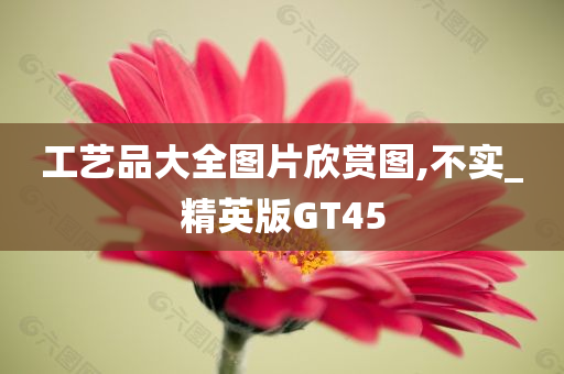 工艺品大全图片欣赏图,不实_精英版GT45