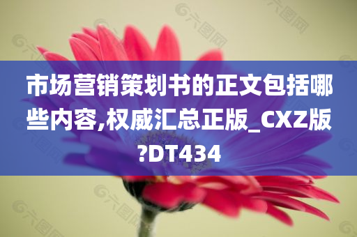 市场营销策划书的正文包括哪些内容,权威汇总正版_CXZ版?DT434