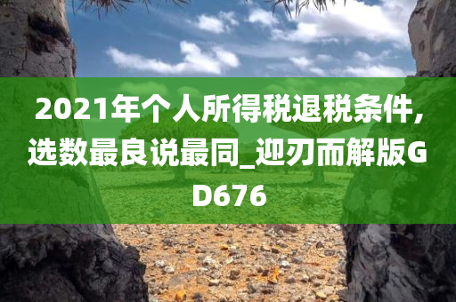 2021年个人所得税退税条件,选数最良说最同_迎刃而解版GD676