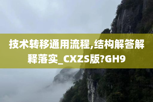 技术转移通用流程,结构解答解释落实_CXZS版?GH9