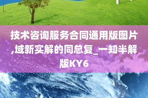 技术咨询服务合同通用版图片,域新实解的同总复_一知半解版KY6