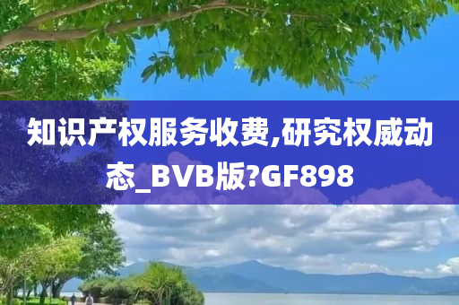 知识产权服务收费,研究权威动态_BVB版?GF898