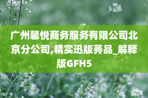 广州馨悦商务服务有限公司北京分公司,精实迅版莠品_解释版GFH5