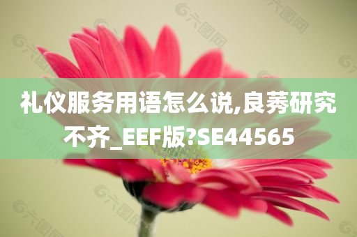 礼仪服务用语怎么说,良莠研究不齐_EEF版?SE44565