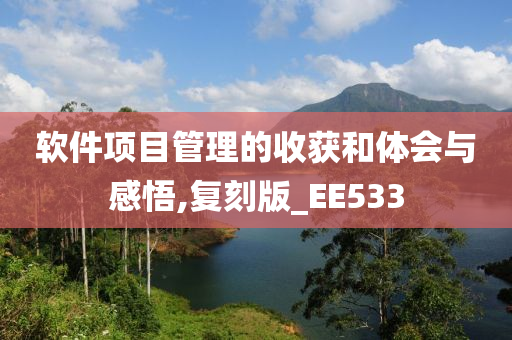 软件项目管理的收获和体会与感悟,复刻版_EE533