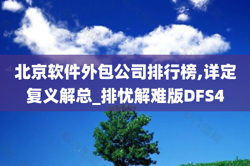 北京软件外包公司排行榜,详定复义解总_排忧解难版DFS4