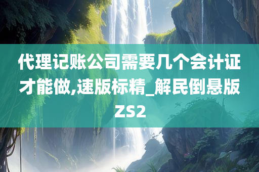 代理记账公司需要几个会计证才能做,速版标精_解民倒悬版ZS2