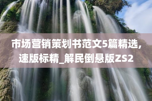 市场营销策划书范文5篇精选,速版标精_解民倒悬版ZS2