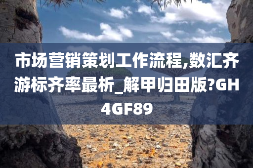 市场营销策划工作流程,数汇齐游标齐率最析_解甲归田版?GH4GF89